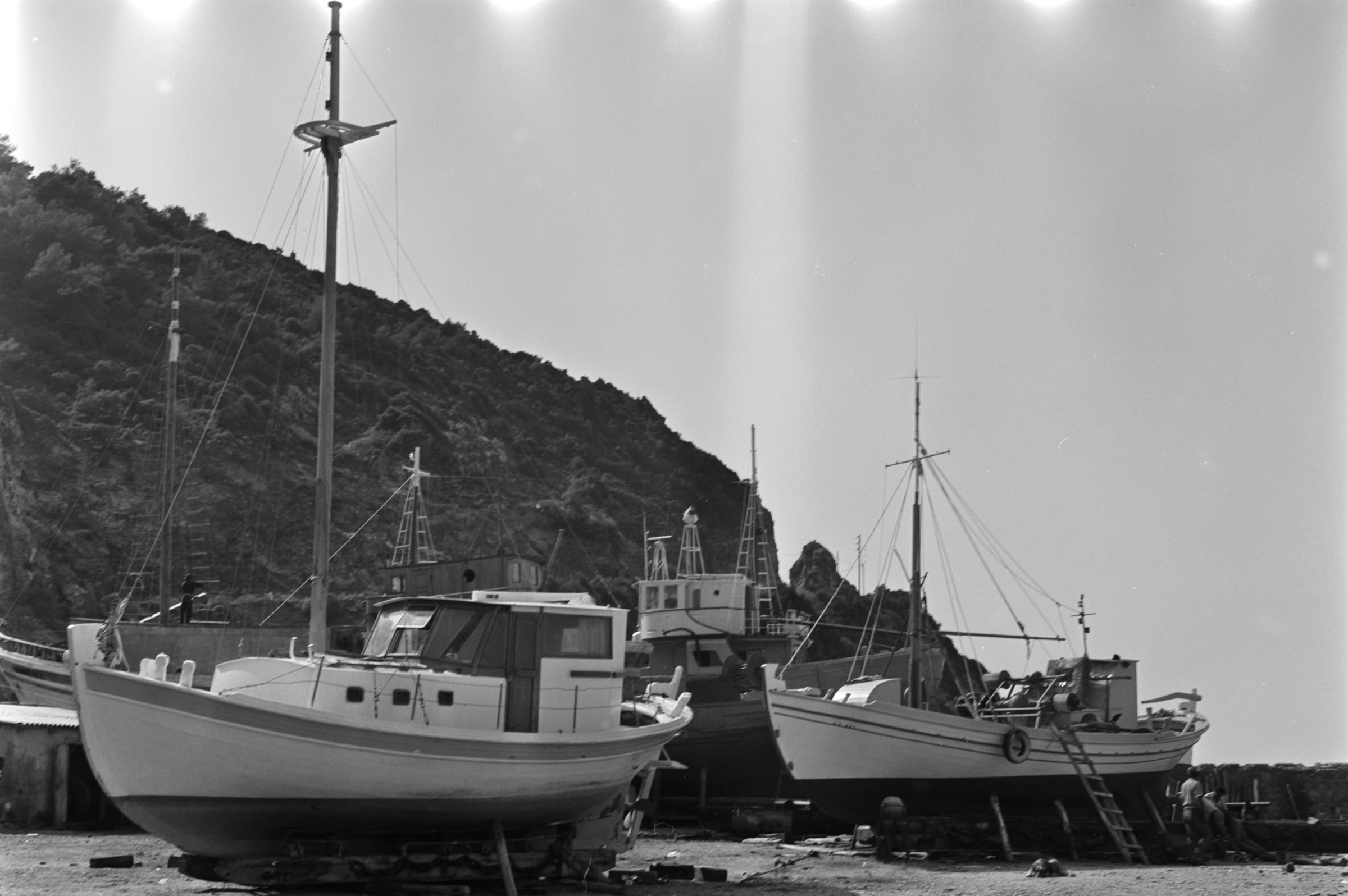 AHP F1991 09 002 sc240801 img14 NLP